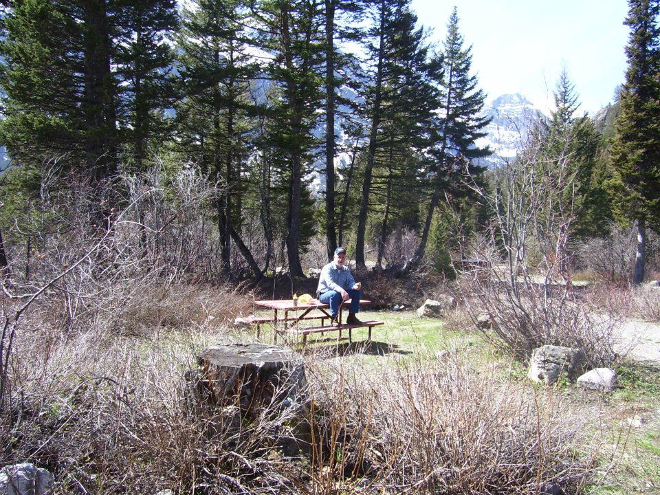 Person sitting at a picnic table in a sunny forest clearing with tall evergreen trees