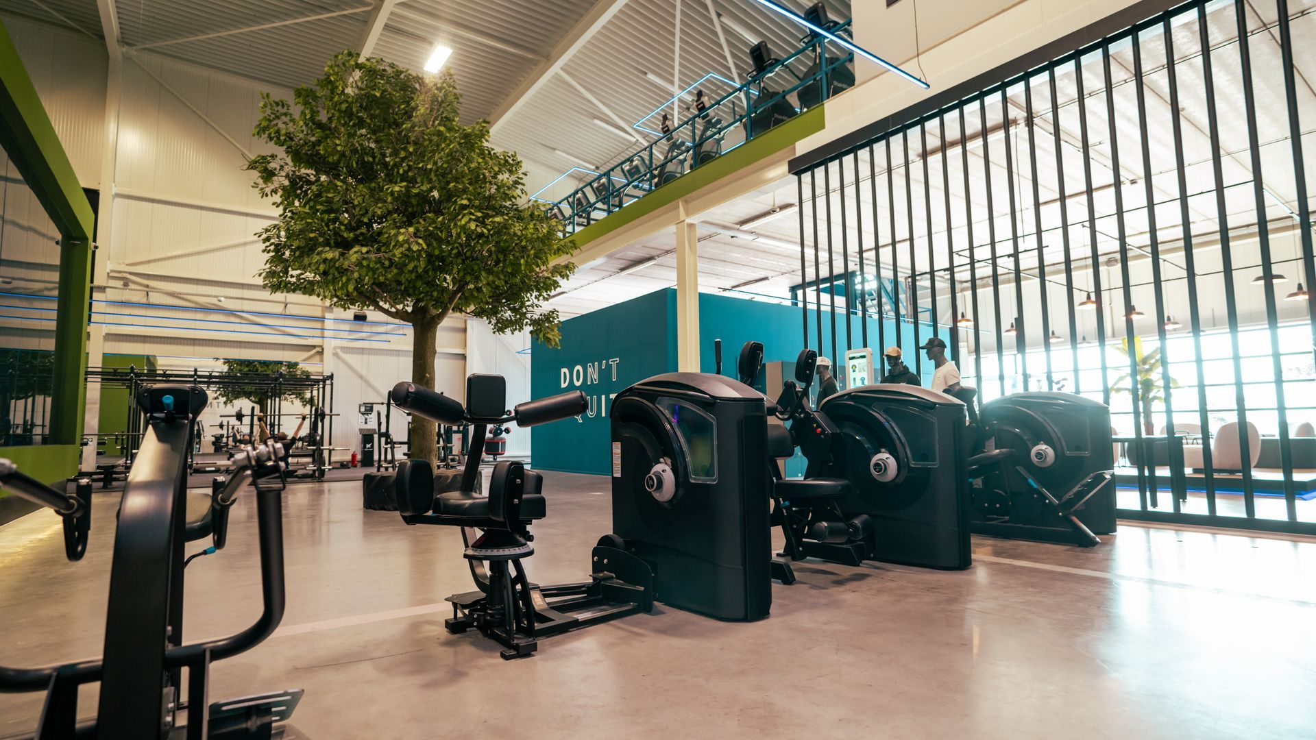 Moderne sportschool met fitnessapparaten, een grote binnenboom en ramen van vloer tot plafond.