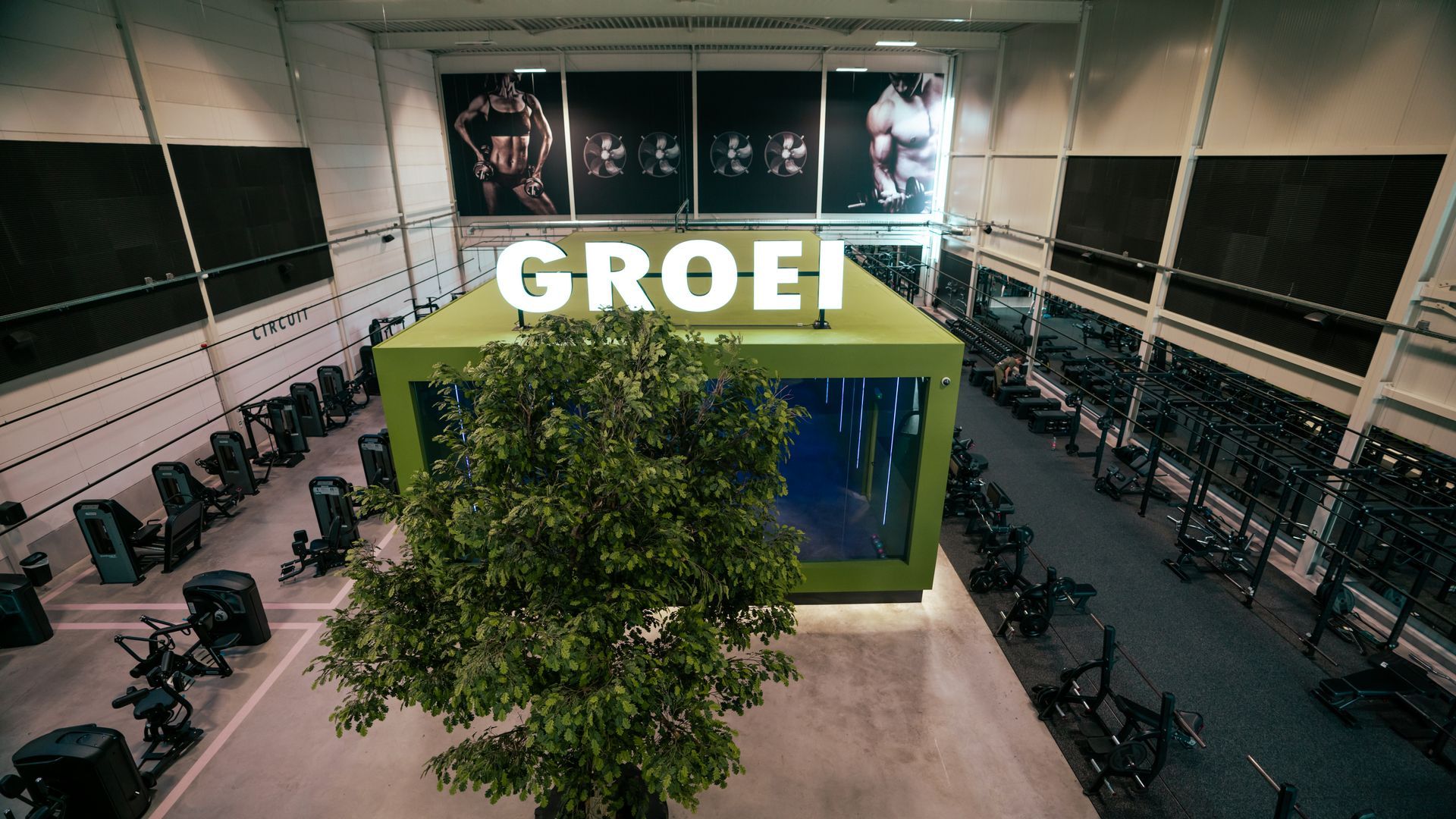 Overdekte gym met een groen kubusvormig podium, een groot 