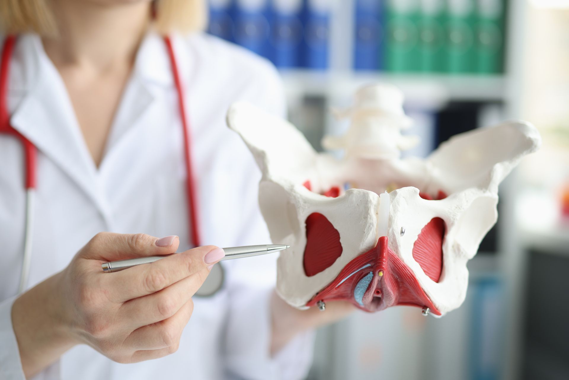 Doctor holding a pelvic bone model and pointing to it with a pen during a medical explanation.