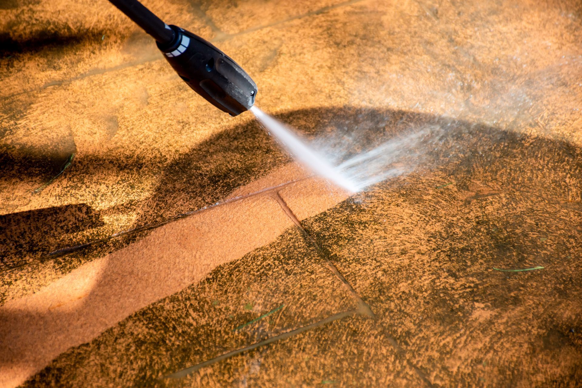 Cleaning Pathway — Jesup, GA — O'Neal Premier Services