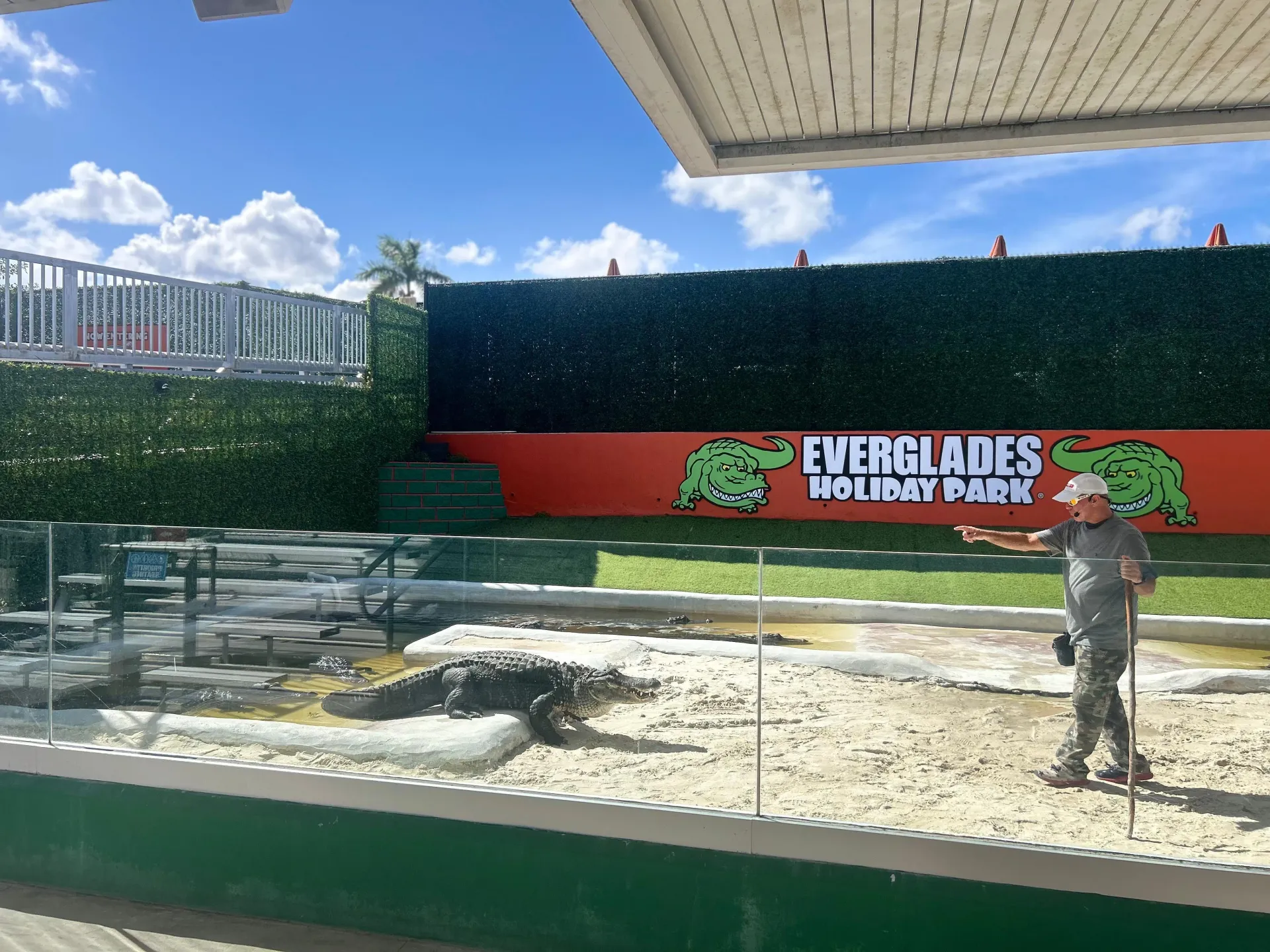 Wildlife expert presenting an educational alligator demonstration in the Florida Everglades