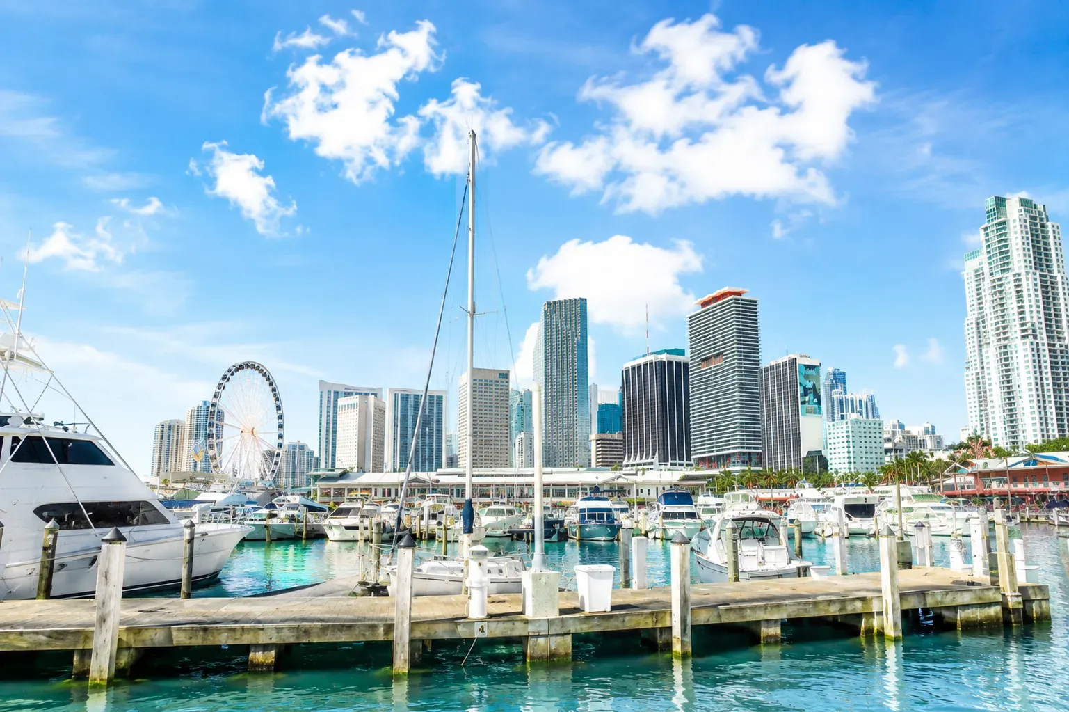 Miami skyline views during an Early Bird Cruise in Miami.