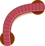 A cartoon illustration of a pink worm with brown circles around it