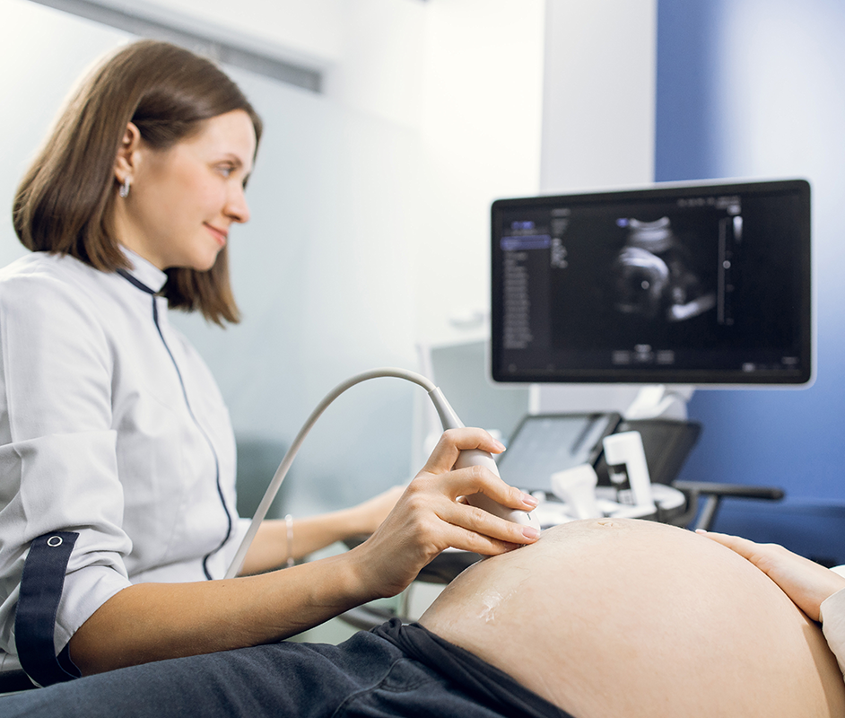Advisor