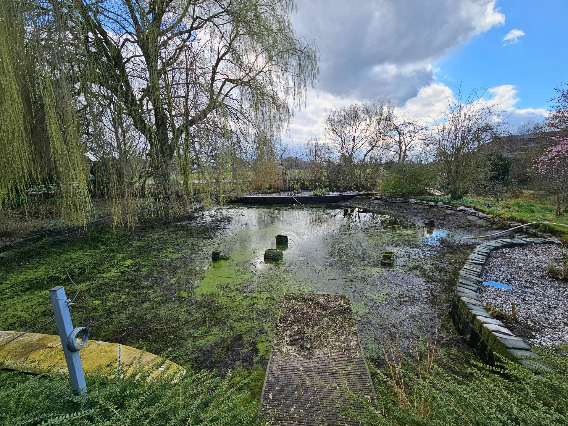 Teichreinigung Rees