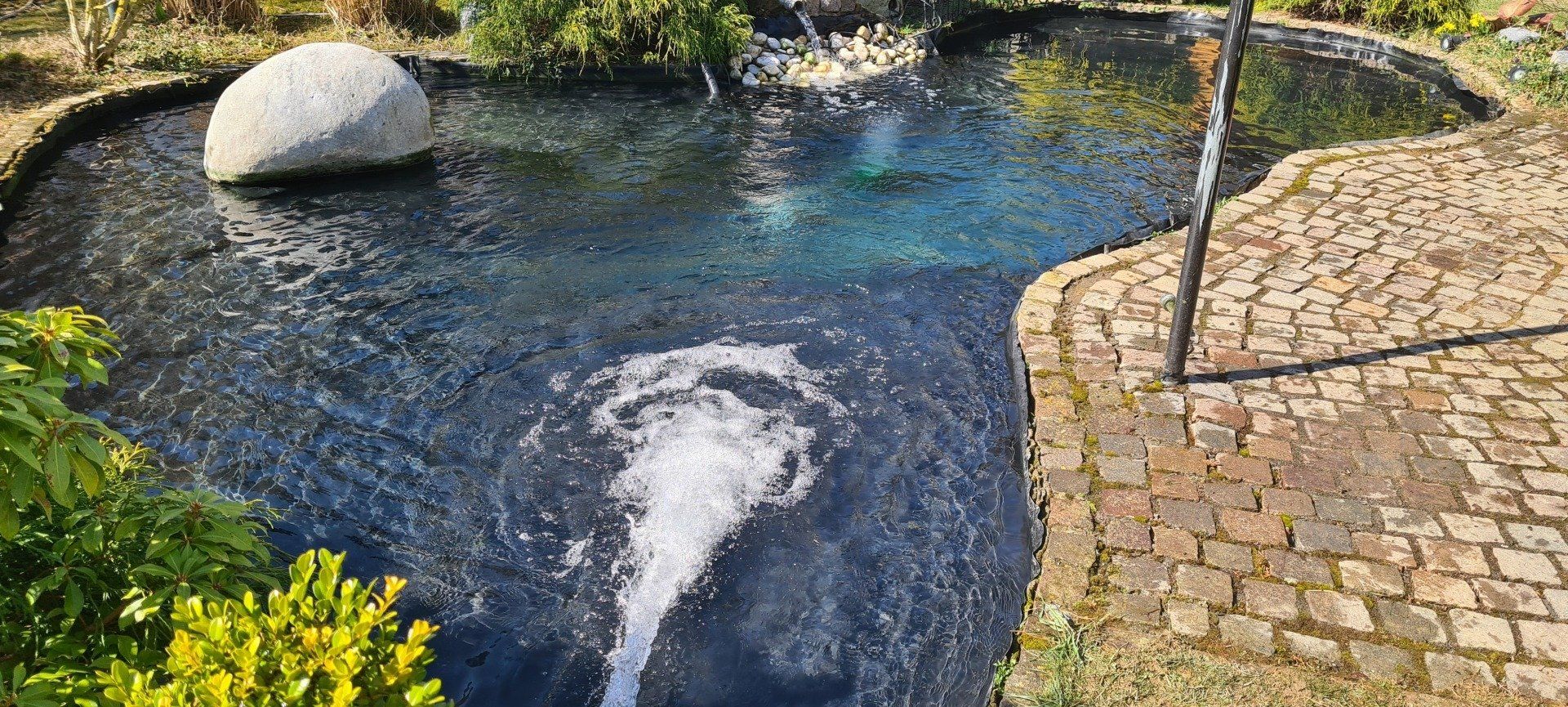 Teich reinigen Dinslaken