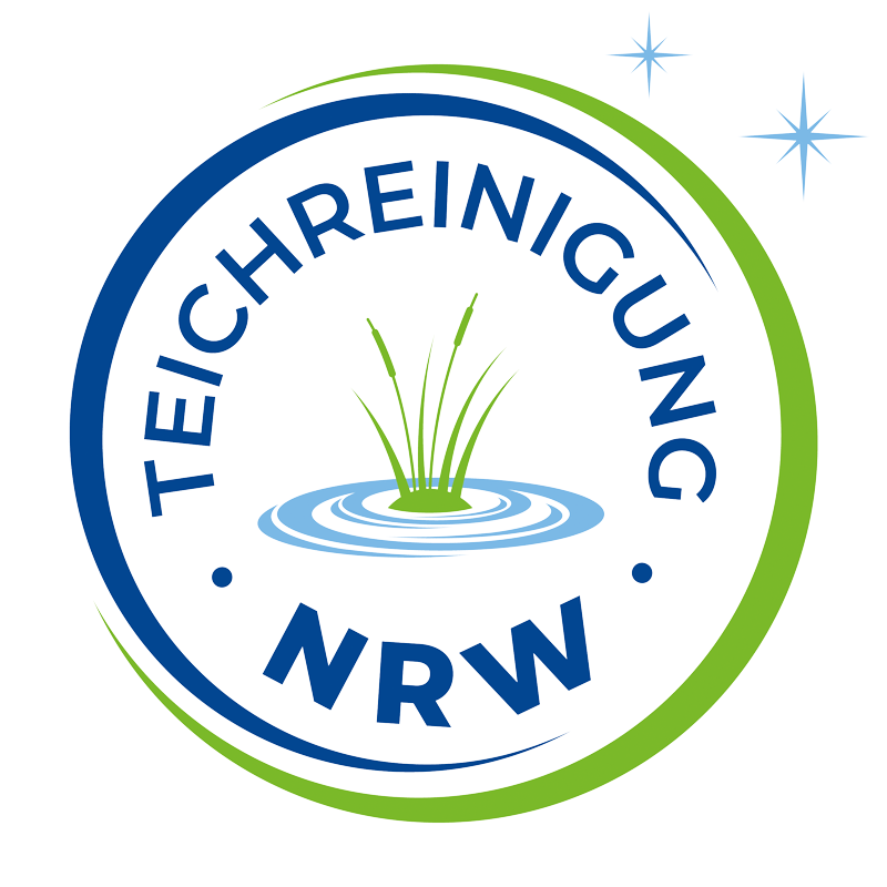 Teichreinigung