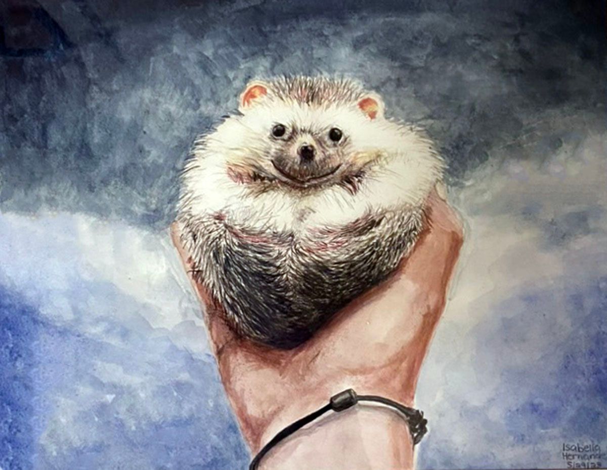 A smiling hedgehog cradled in a hand against a cloudy blue-gray background.
