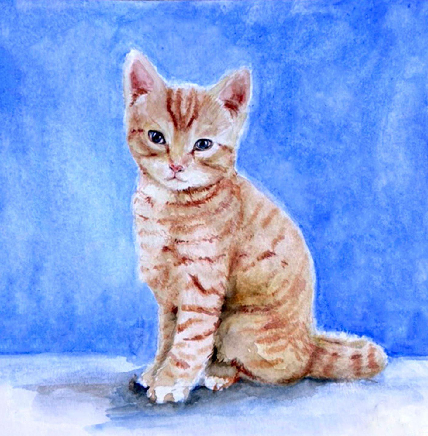 Orange tabby kitten sitting on a white surface against a blue background