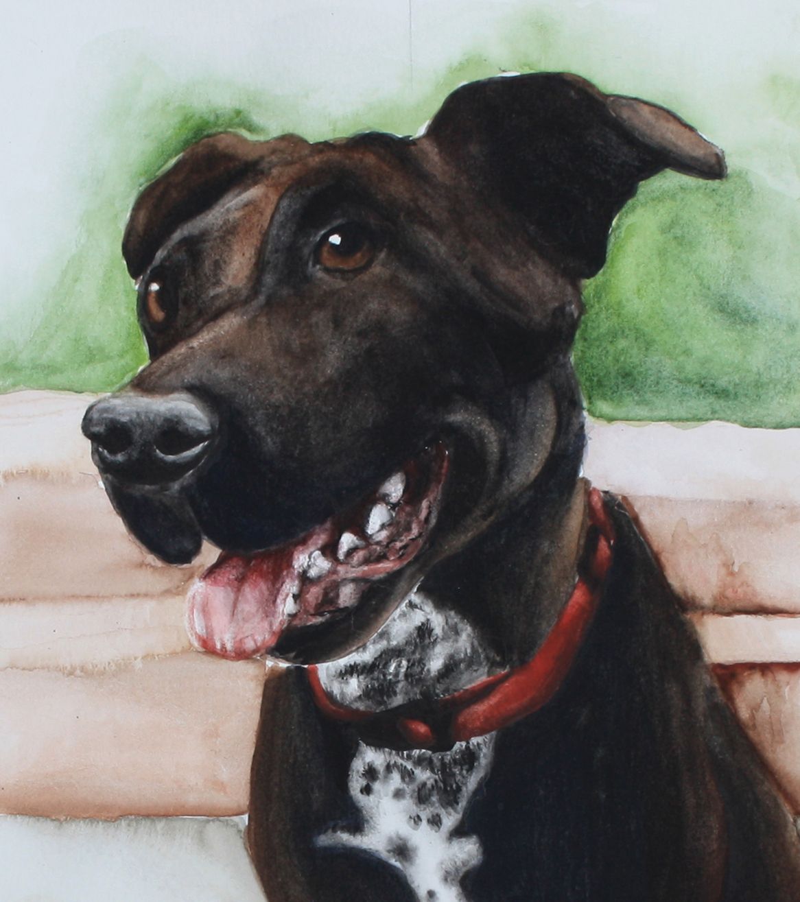 Black dog with red collar, panting and looking left against a soft green background.