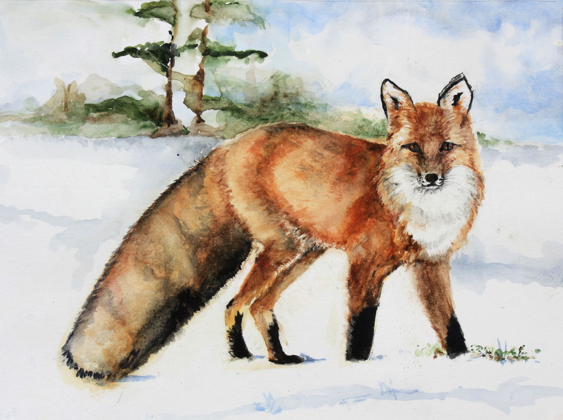 Watercolor fox standing in snow, with orange fur and a white chest, near bare trees.
