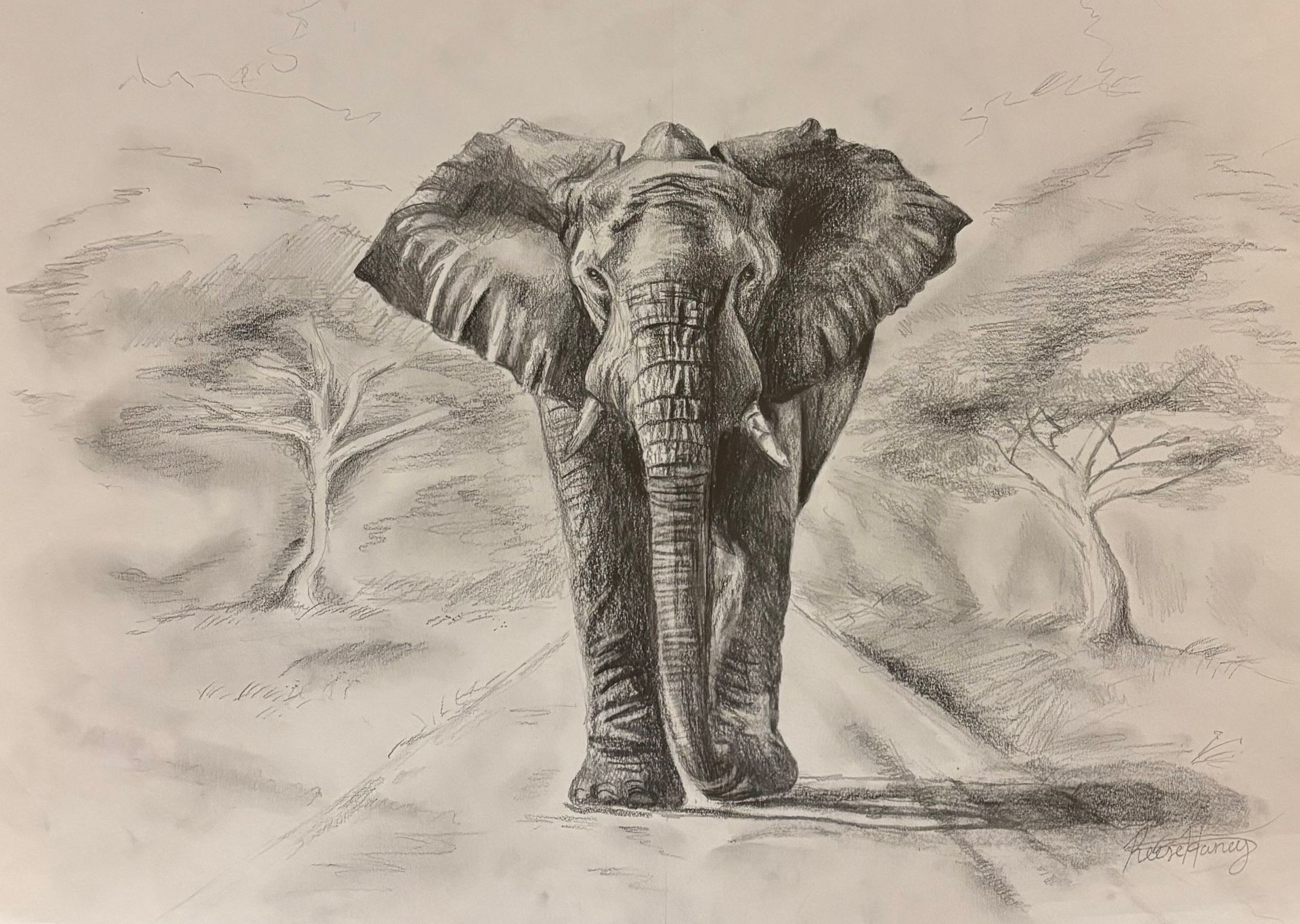 Elephant walking on a dusty path with trees in the background, sketched in charcoal