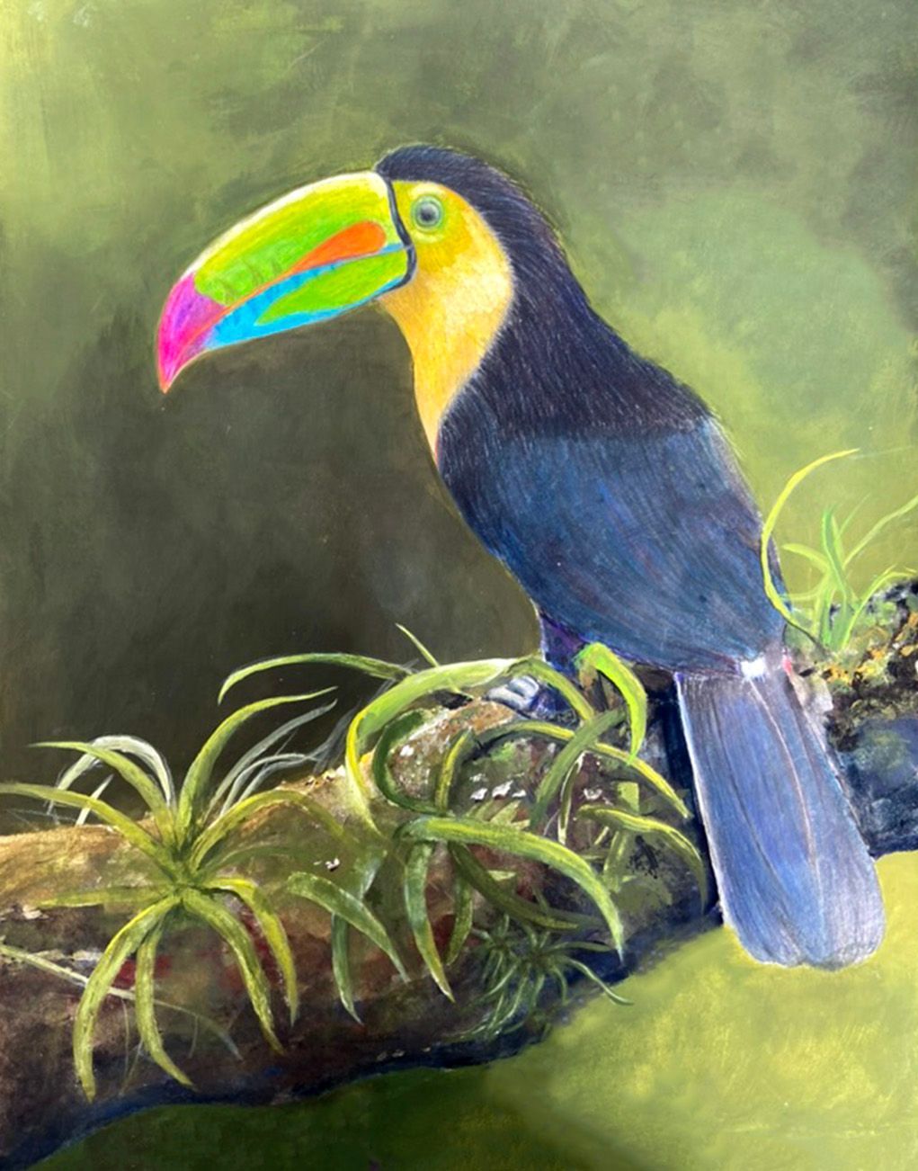 Colorful toucan perched among green leaves against a soft green background