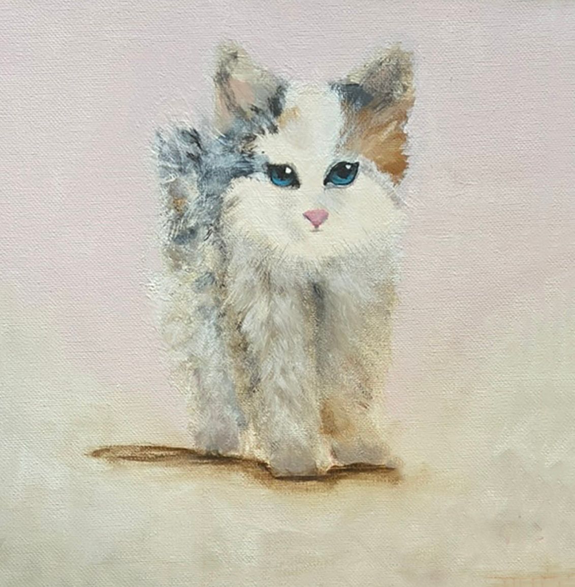 Fluffy white-and-gray kitten with blue eyes and pink nose, sitting on a pale background.