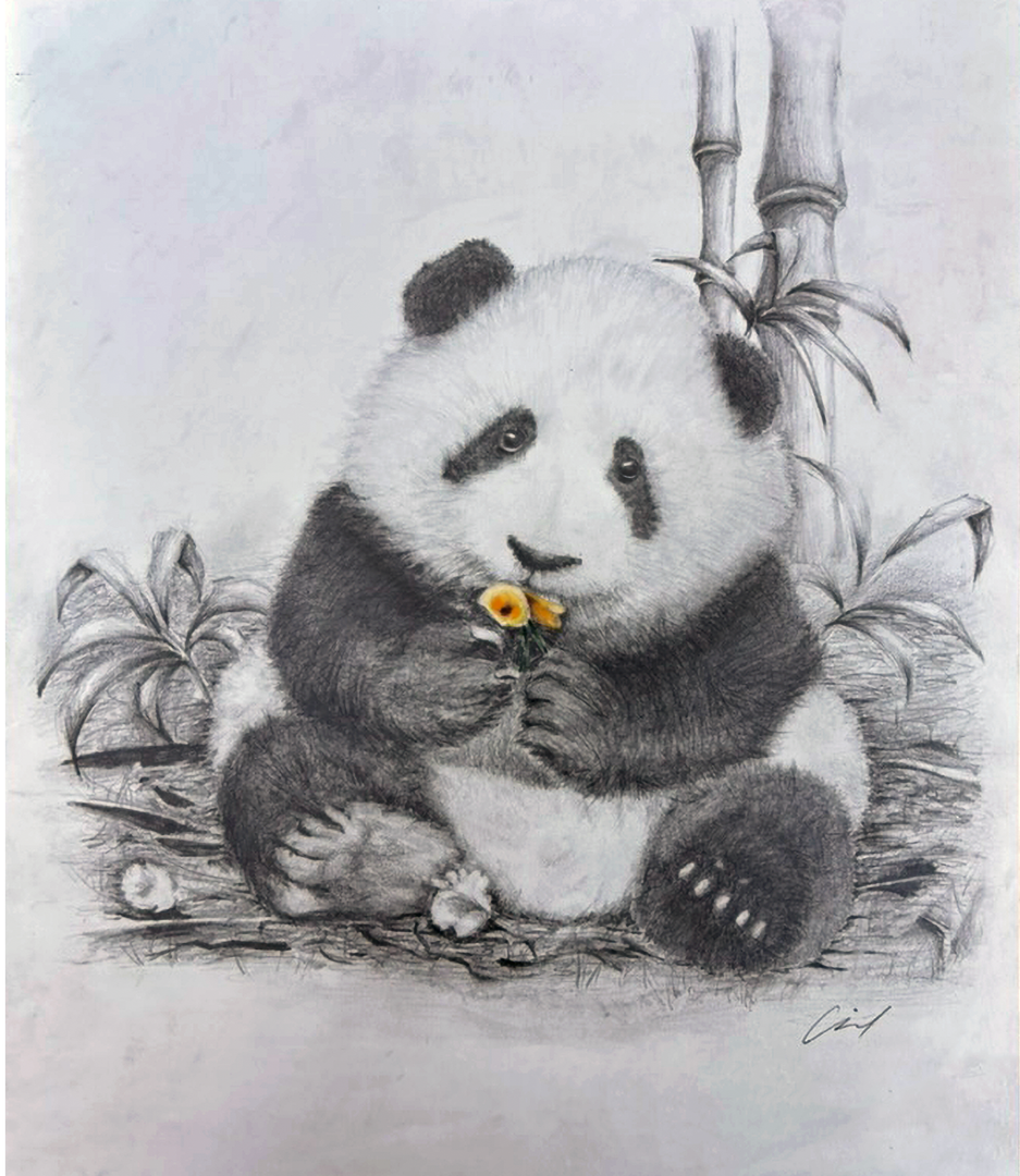 A pencil sketch of a panda sitting and holding a small flower, with bamboo in the background.