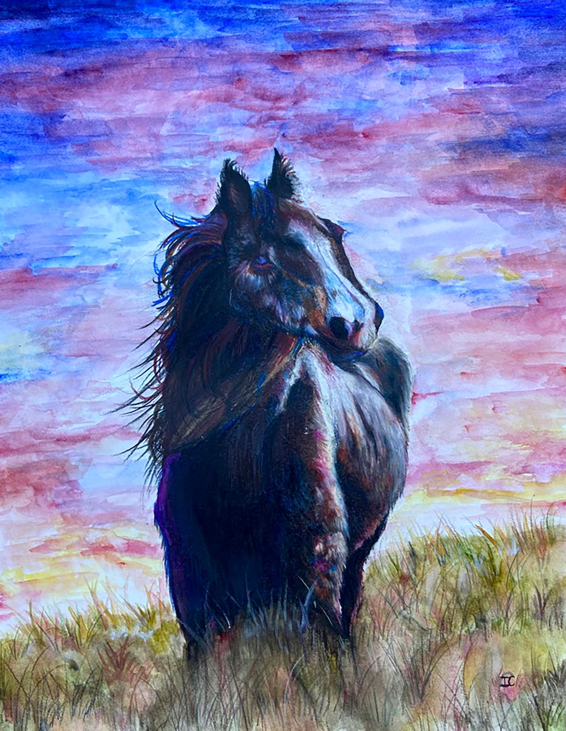 Dark horse standing in a grassy field beneath a colorful sunset sky
