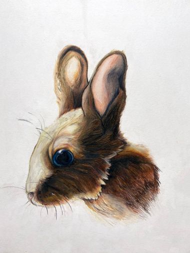 Watercolor-style rabbit head with brown fur and large upright ears on a white background