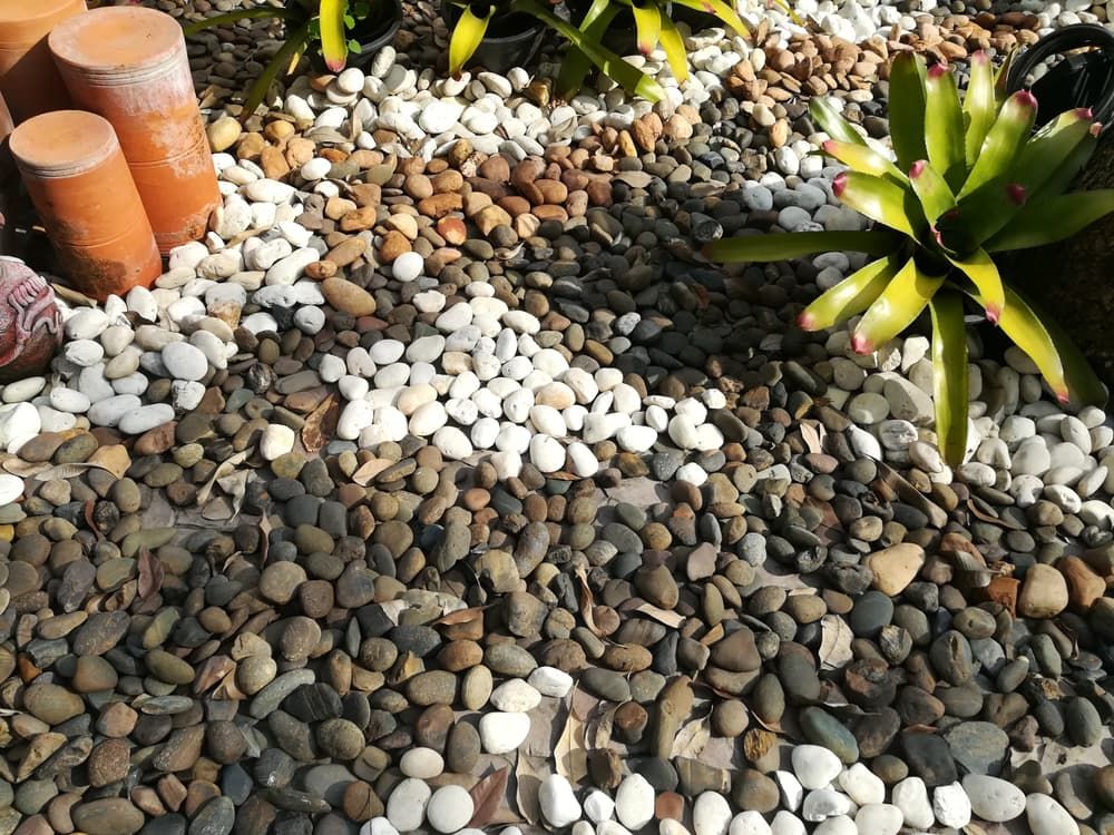 A Pile of Rocks and Plants in A Garden — Green Vision NT in Virginia, NT
