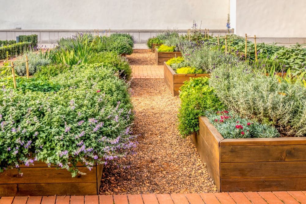 A Garden Filled with Lots of Plants and Flowers — Green Vision NT in Virginia, NT