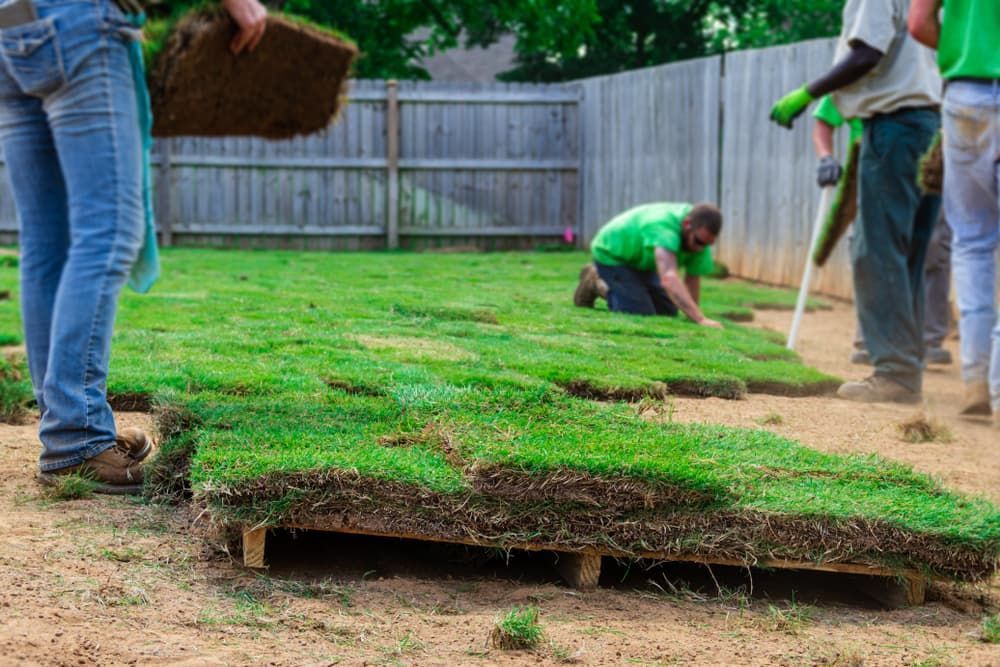 A Group of People Are Laying Turf in A Backyard — Green Vision NT in Virginia, NT