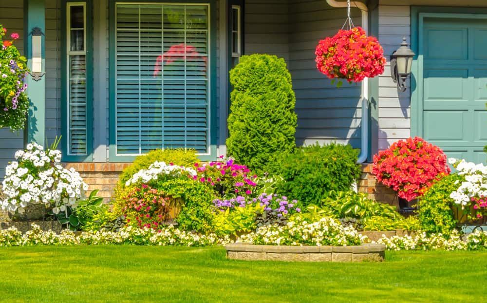 Bright garden at the front of a house
