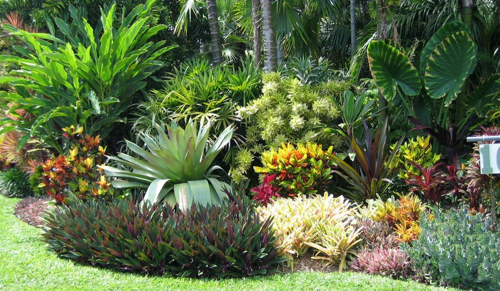 A Garden Filled with Lots of Plants and Flowers — Green Vision NT in Northcrest, NT