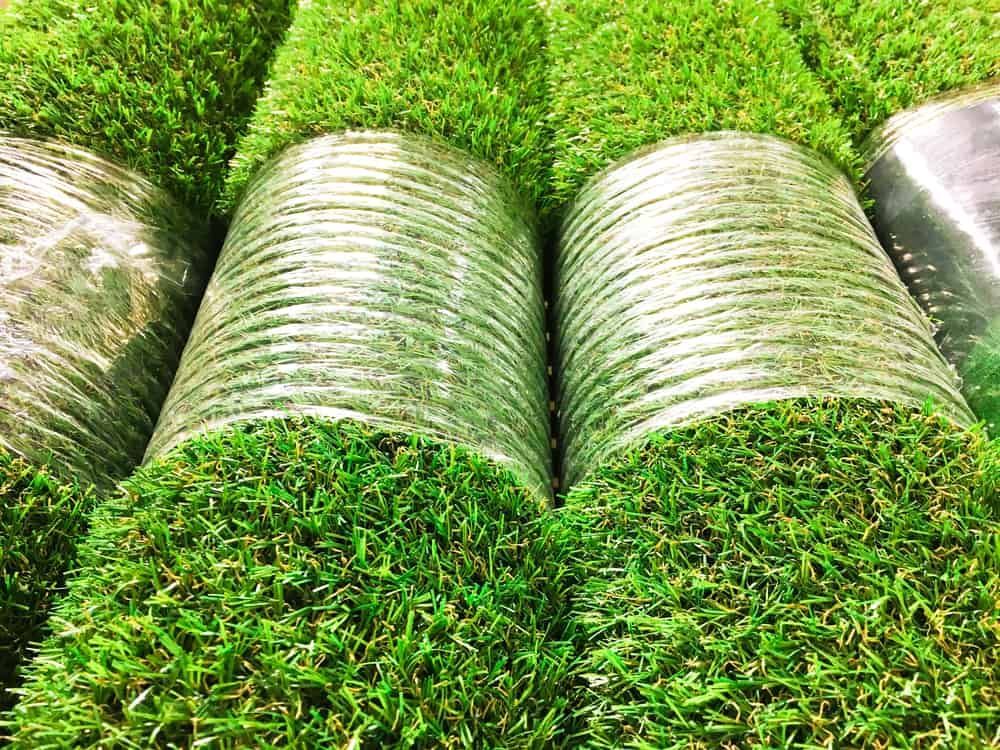 A Bunch of Plastic Cups Filled with Green Grass — Green Vision NT in Virginia, NT