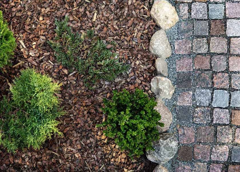 A Brick Walkway with Rocks and Plants on The Side of It — Green Vision NT in Virginia, NT