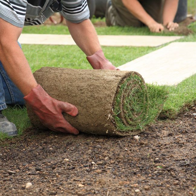 Worker Layering Grass for a Greener Landscape — Green Vision NT in Virginia, NT