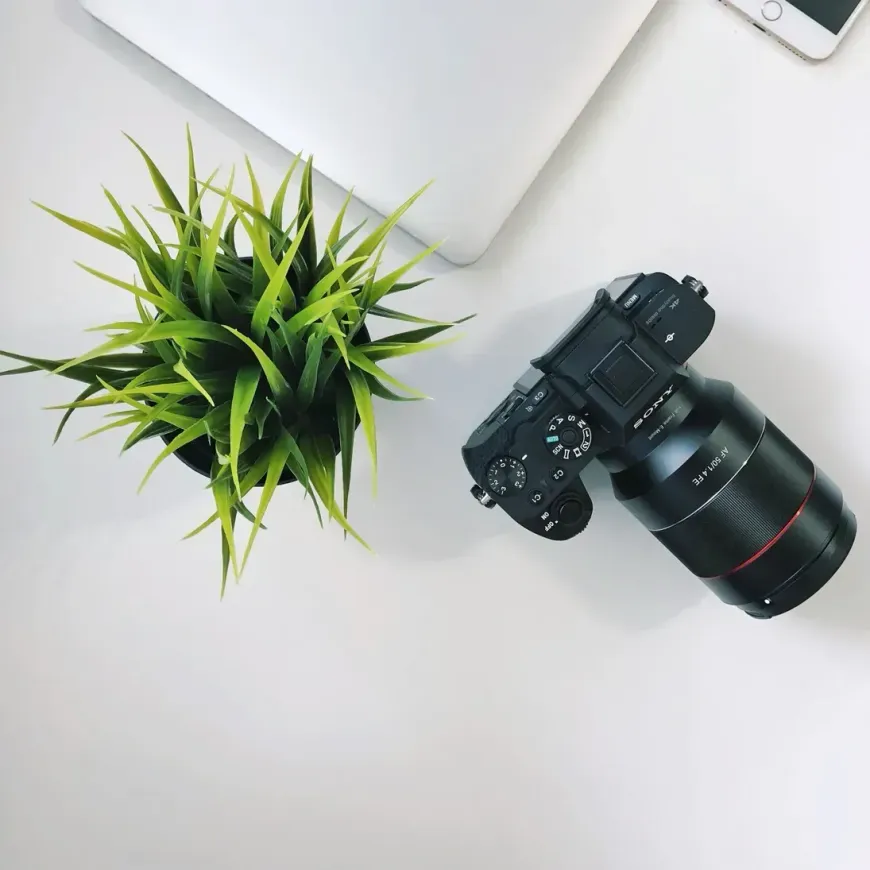 A black camera with a large lens sits on a white surface next to a green potted plant and a laptop corner.