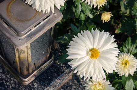 cremation services in Philadelphia, PA