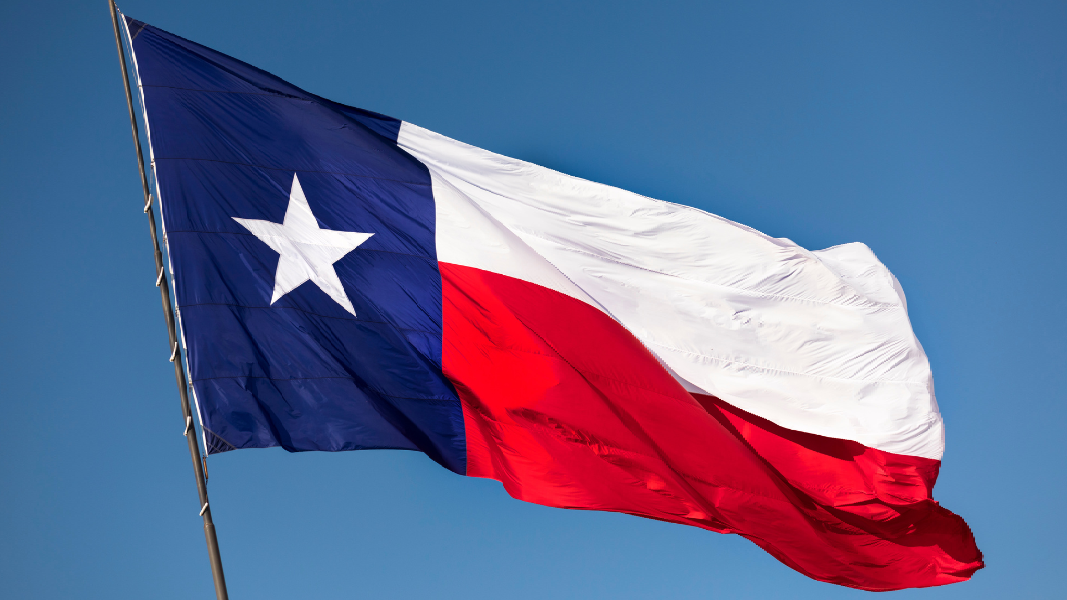 A texas flag is waving in the wind against a blue sky