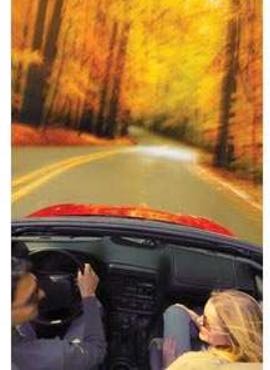 vehicle maintenance needed in car driving on the road