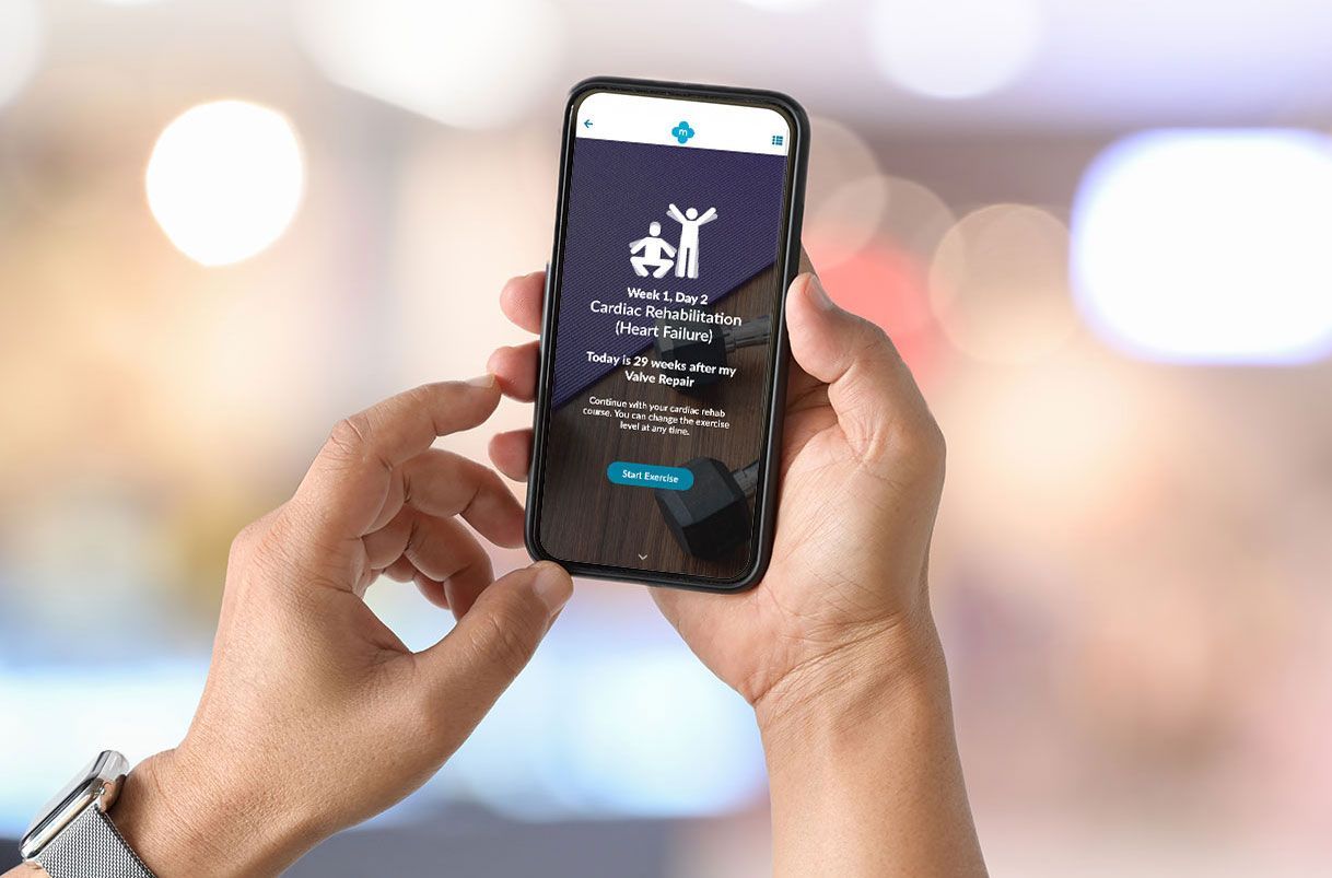 A person is holding a cell phone in their hands.