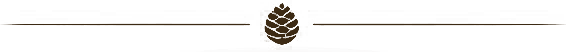 ICONA LOGO