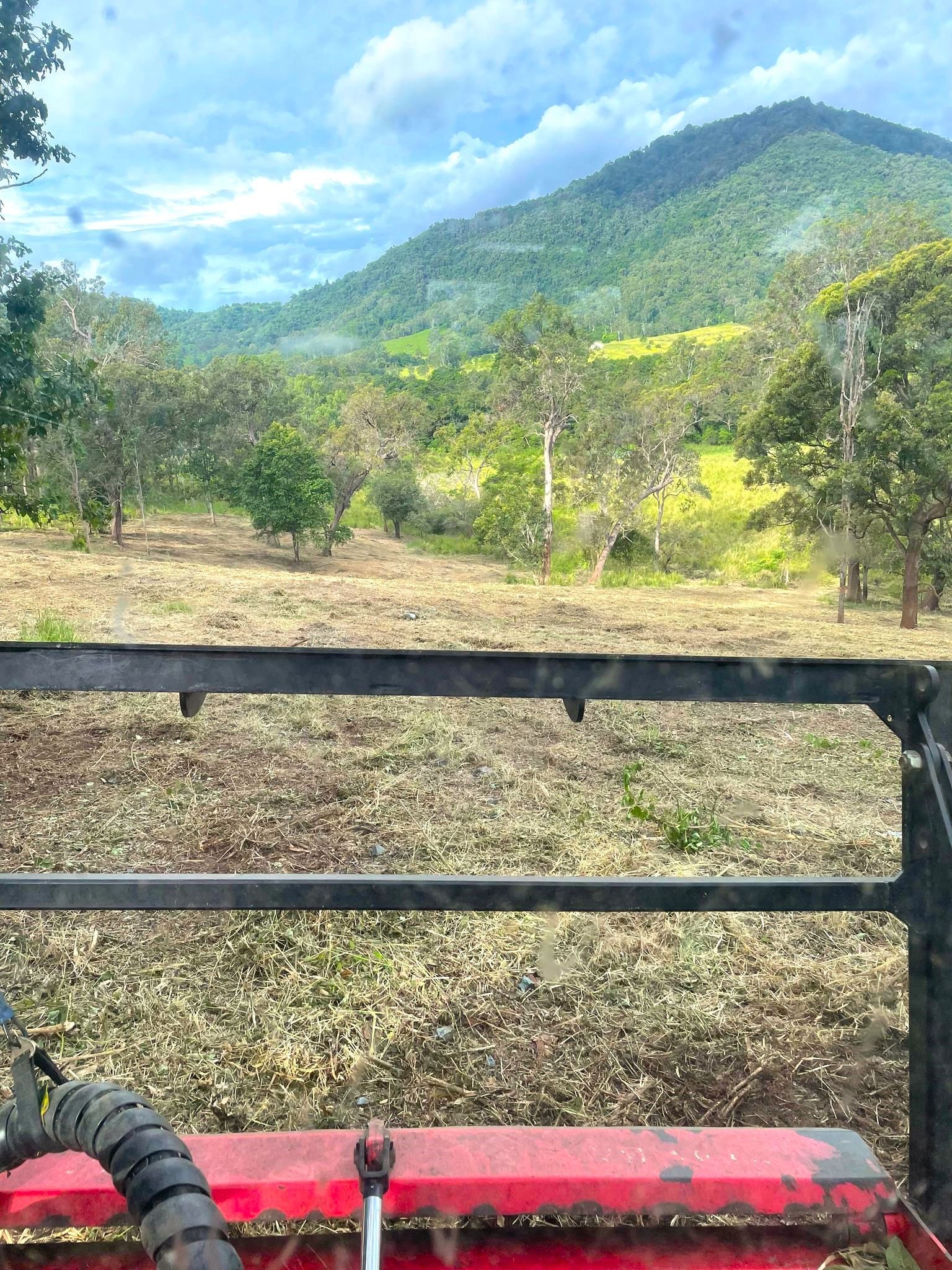 Forestry Mulching Mackay