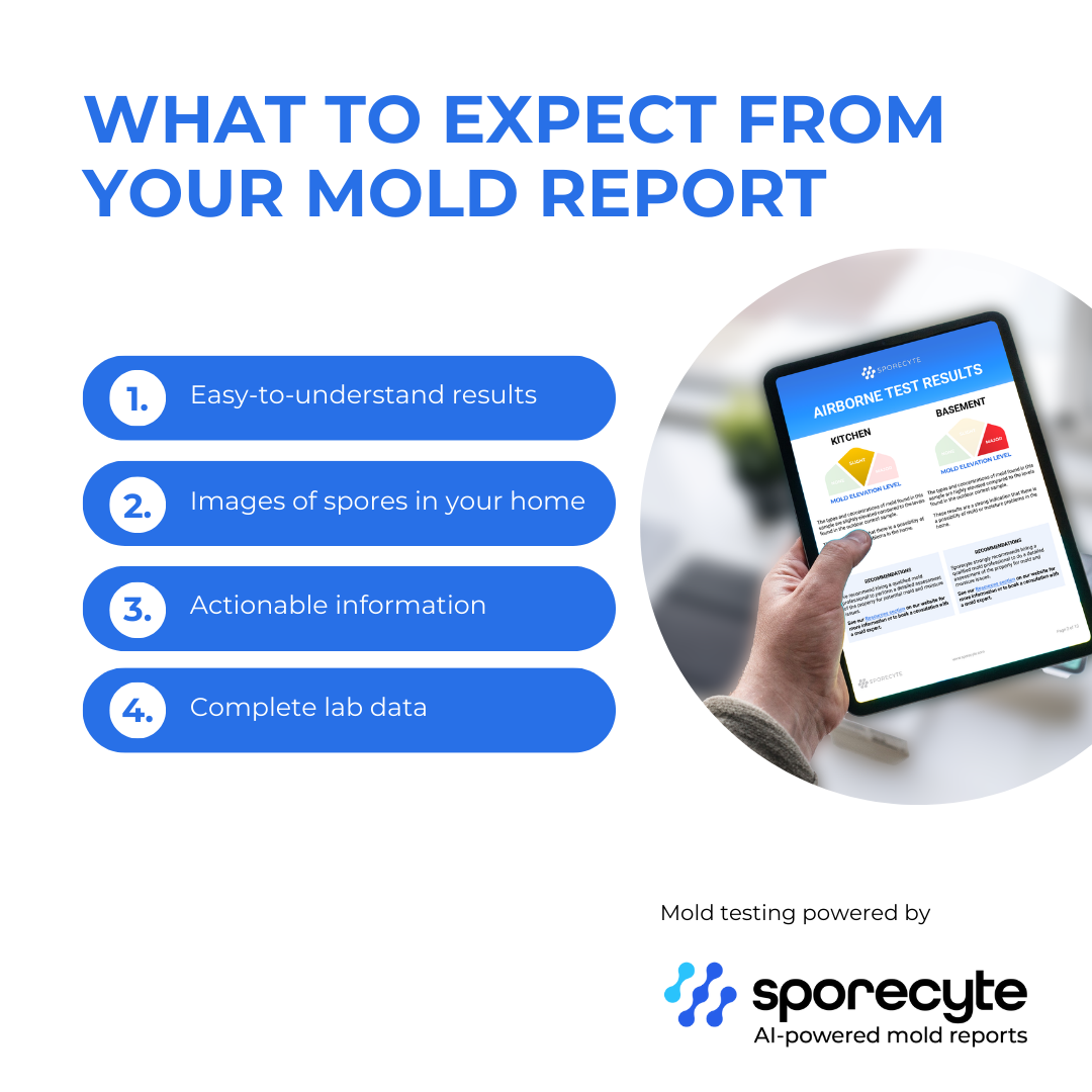 “Professional mold testing and lab analysis report used in Texas mold assessments.”