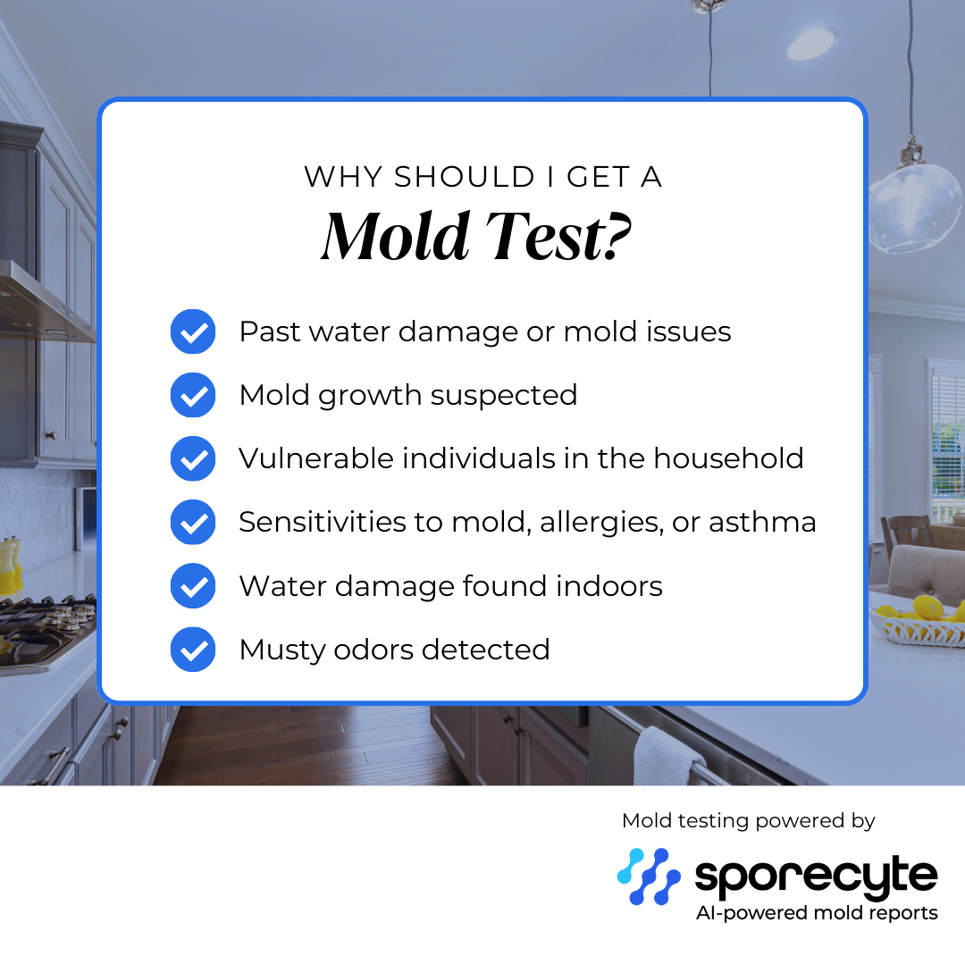 “AI‑powered mold analysis report used in TXMoldAPG mold testing services.”