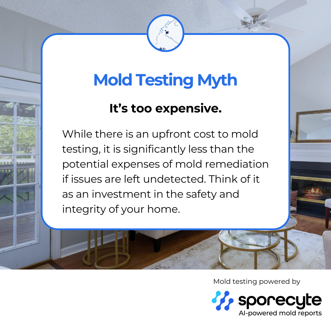 “AI‑powered mold analysis report used in TXMoldAPG mold testing services.”
