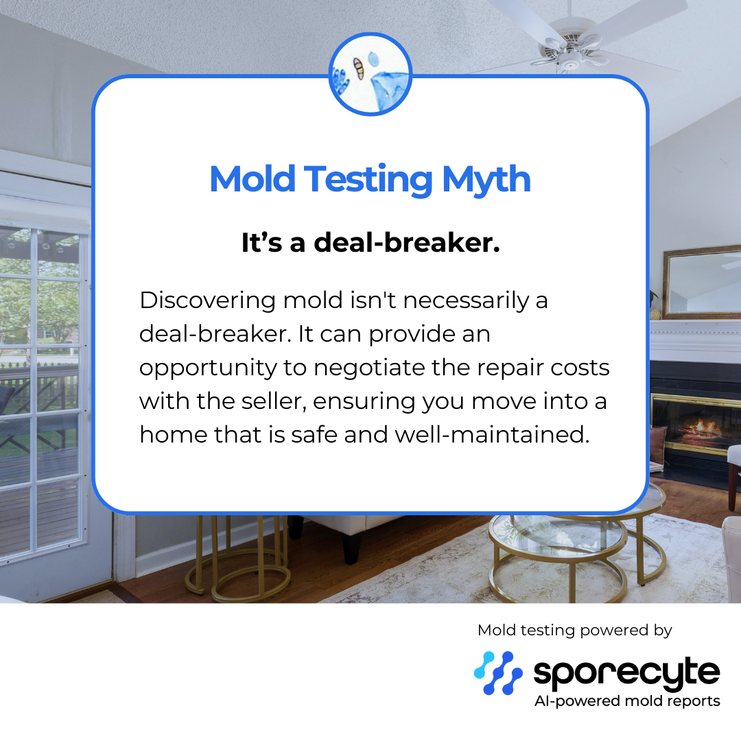 “AI‑powered mold analysis report used in TXMoldAPG mold testing services.”