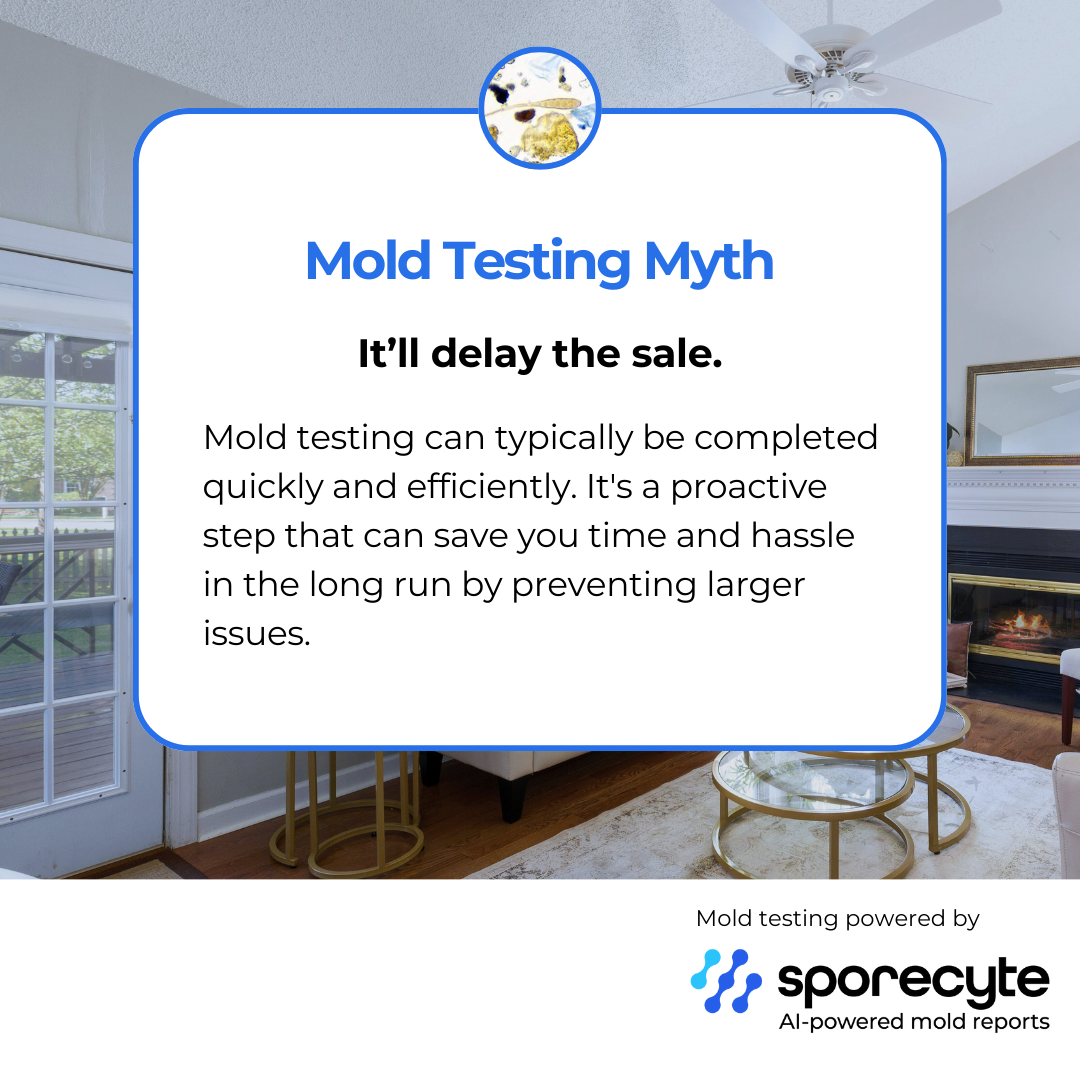 “AI‑powered mold analysis report used in TXMoldAPG mold testing services.”