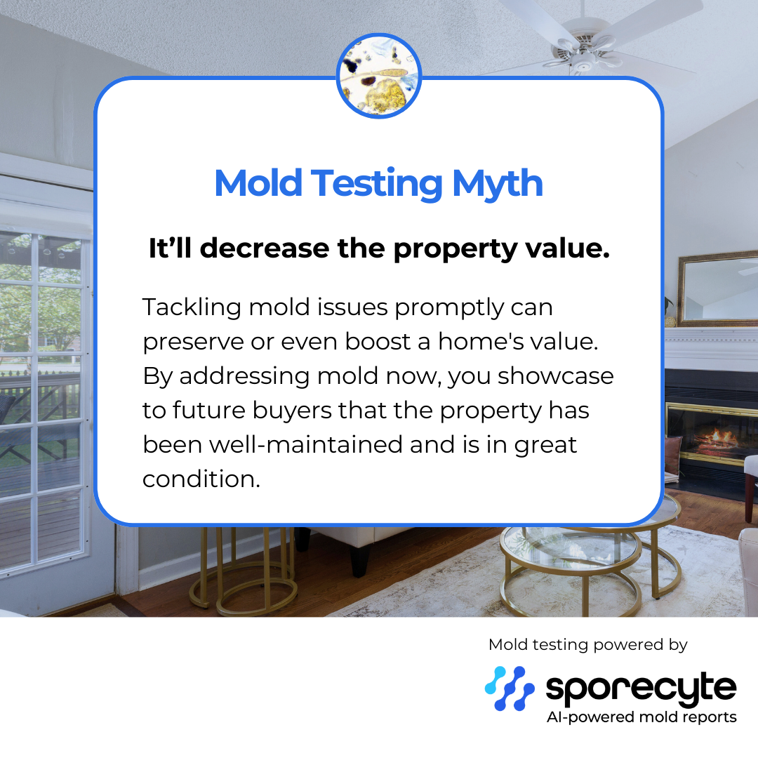 “AI‑powered mold analysis report used in TXMoldAPG mold testing services.”