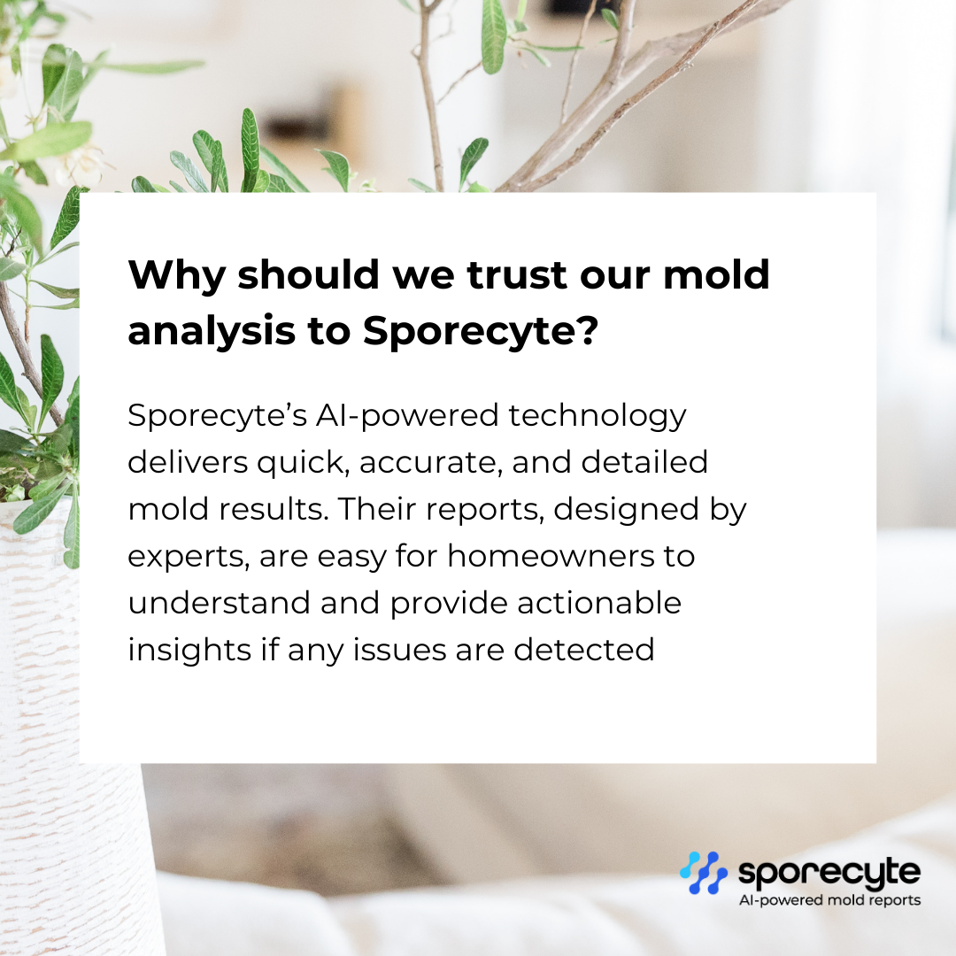 “AI‑powered mold analysis report used in TXMoldAPG mold testing services.”