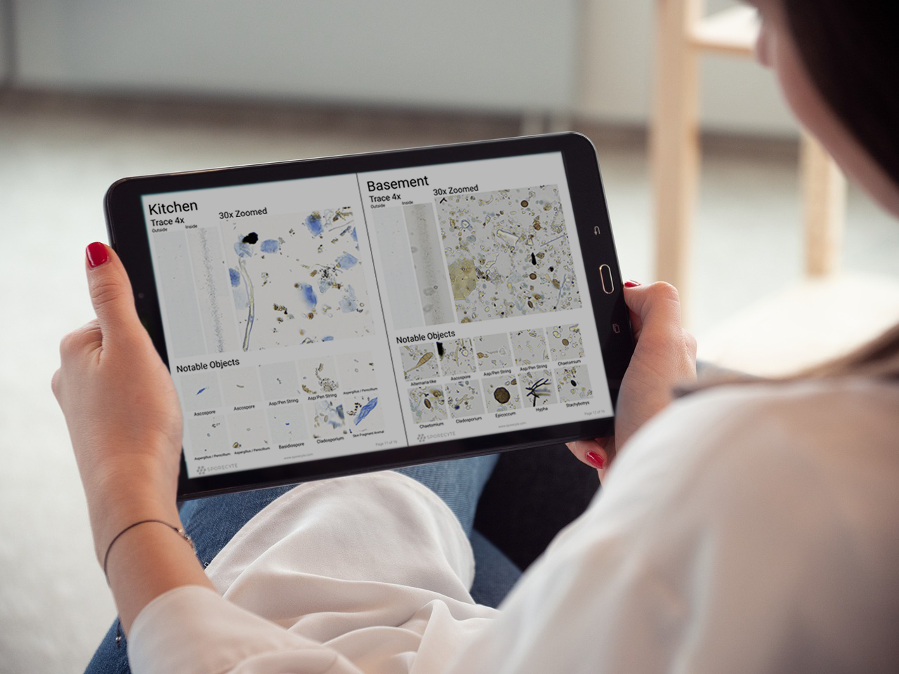 “Sporecyte AI mold analysis report showing lab‑verified indoor air quality results for DFW homes.”