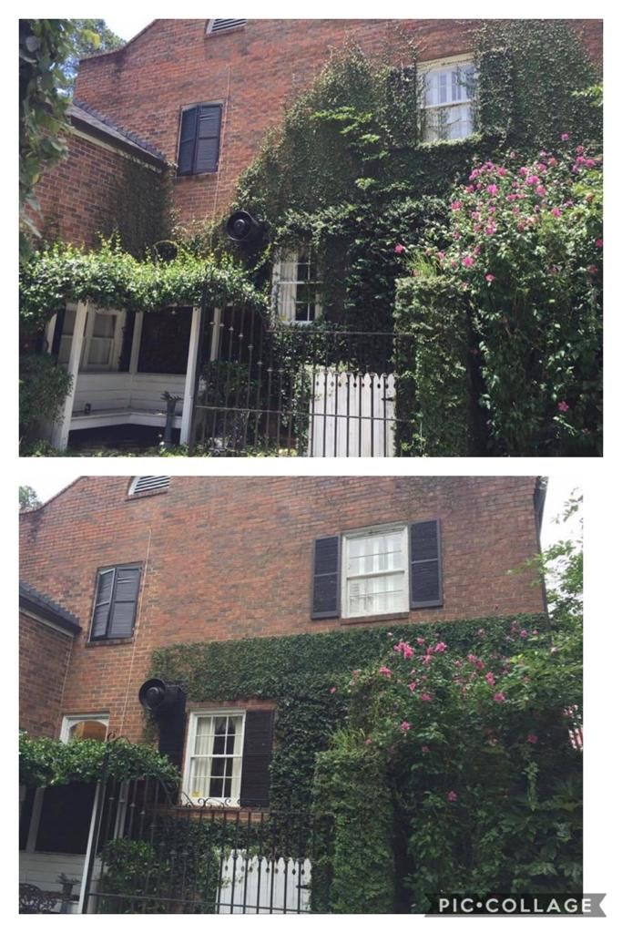 Brick house covered in ivy and pink flowers, shown in two similar views with white windows and a gate