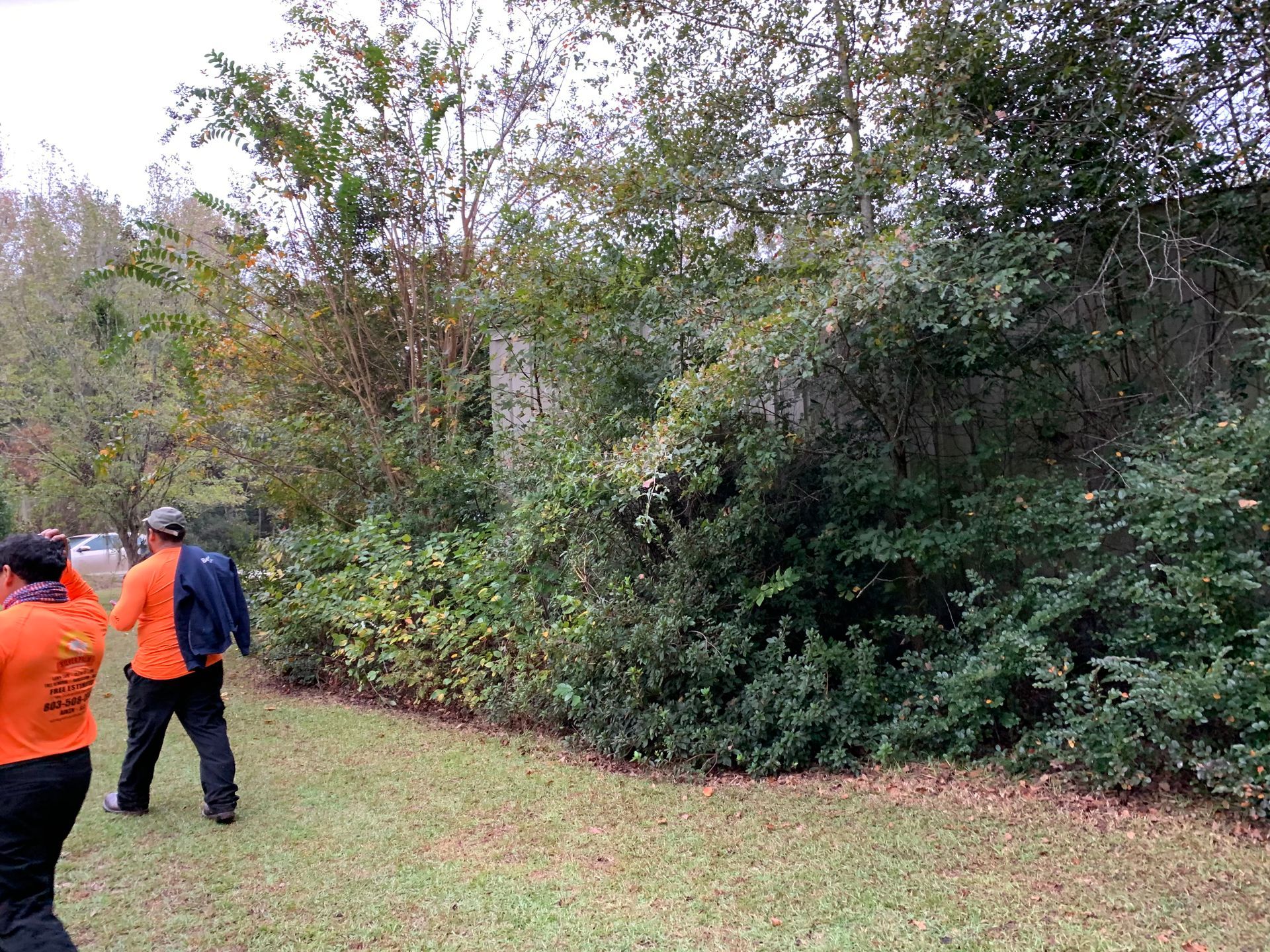 Two people in orange jackets walking beside a wooded area with dense green shrubs.