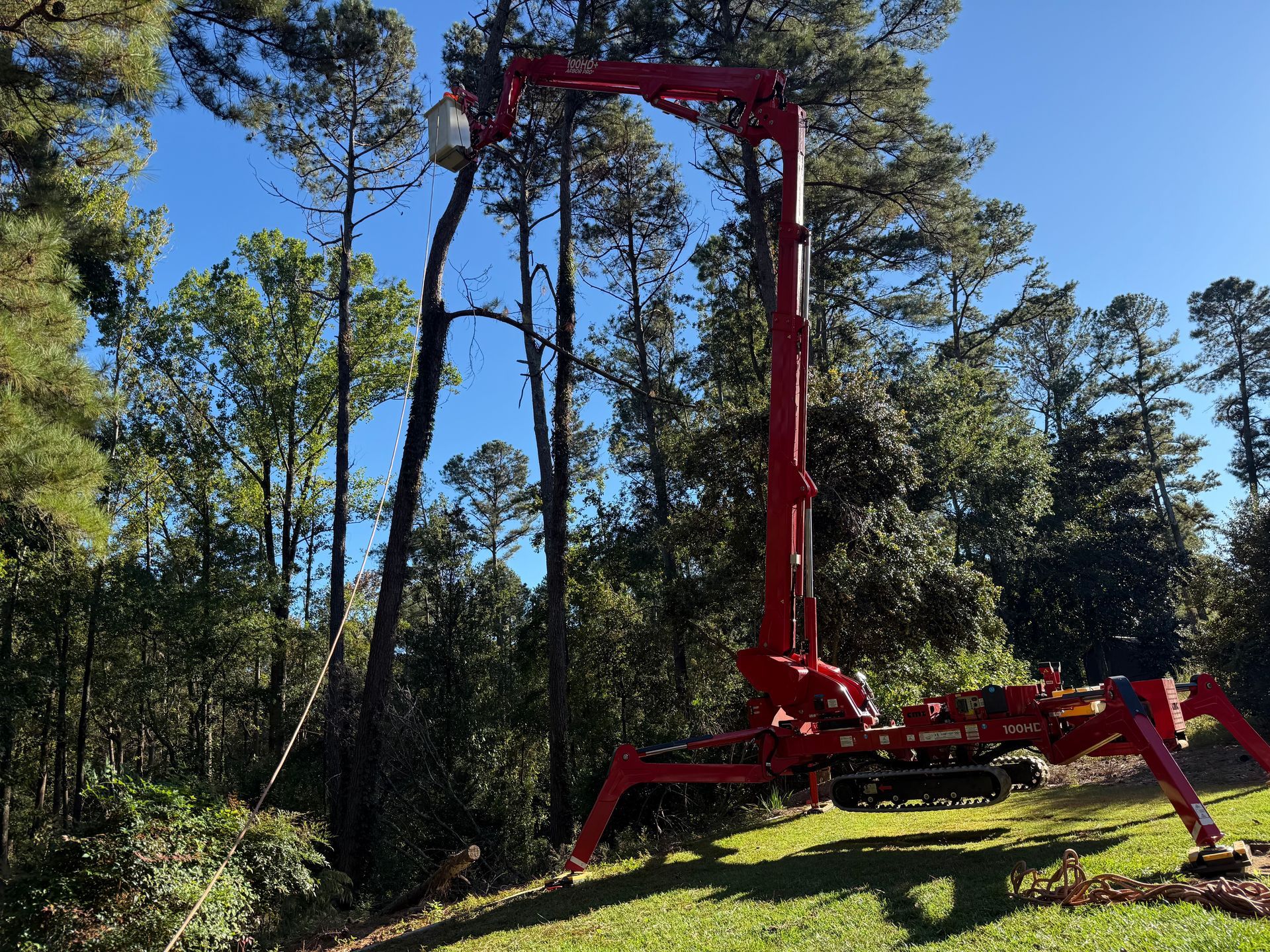Red forestry crane lifting a tall tree trunk in a wooded clearing under a blue sky
