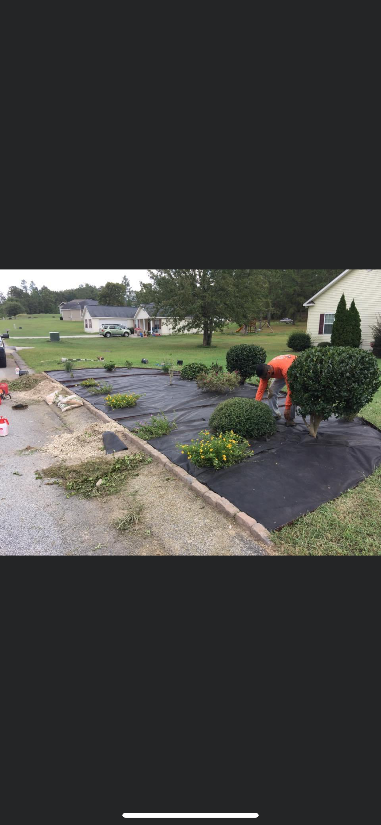 Mulched flower bed with orange blossoms and shrubs beside a gravel driveway and house lawn
