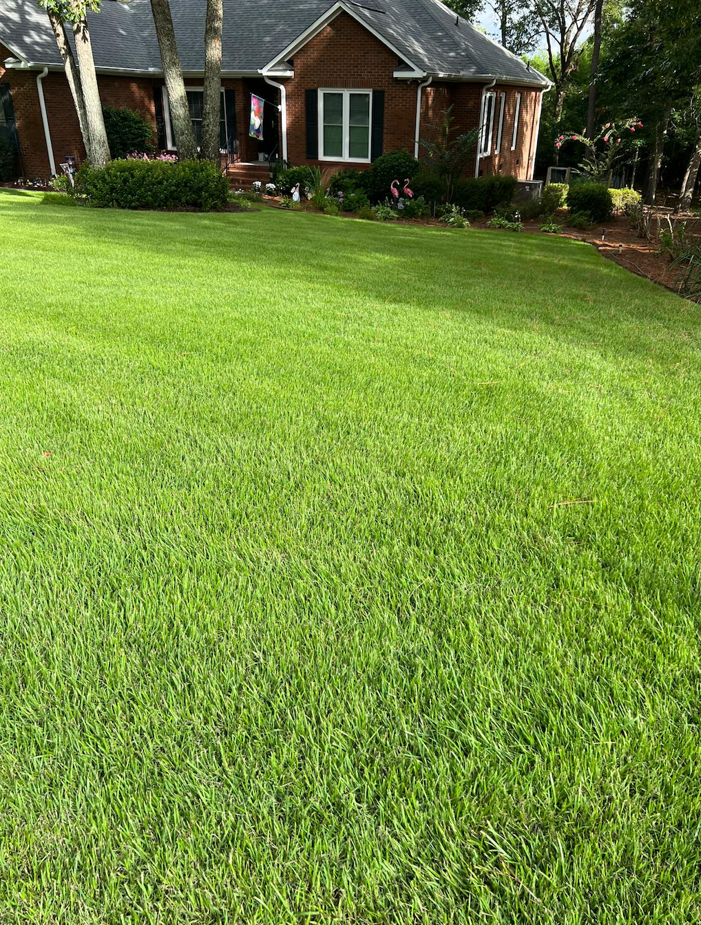 Lush green lawn in front of a small brick house with flower beds and trees